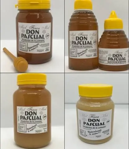 Don Pascual miel sólida 490g