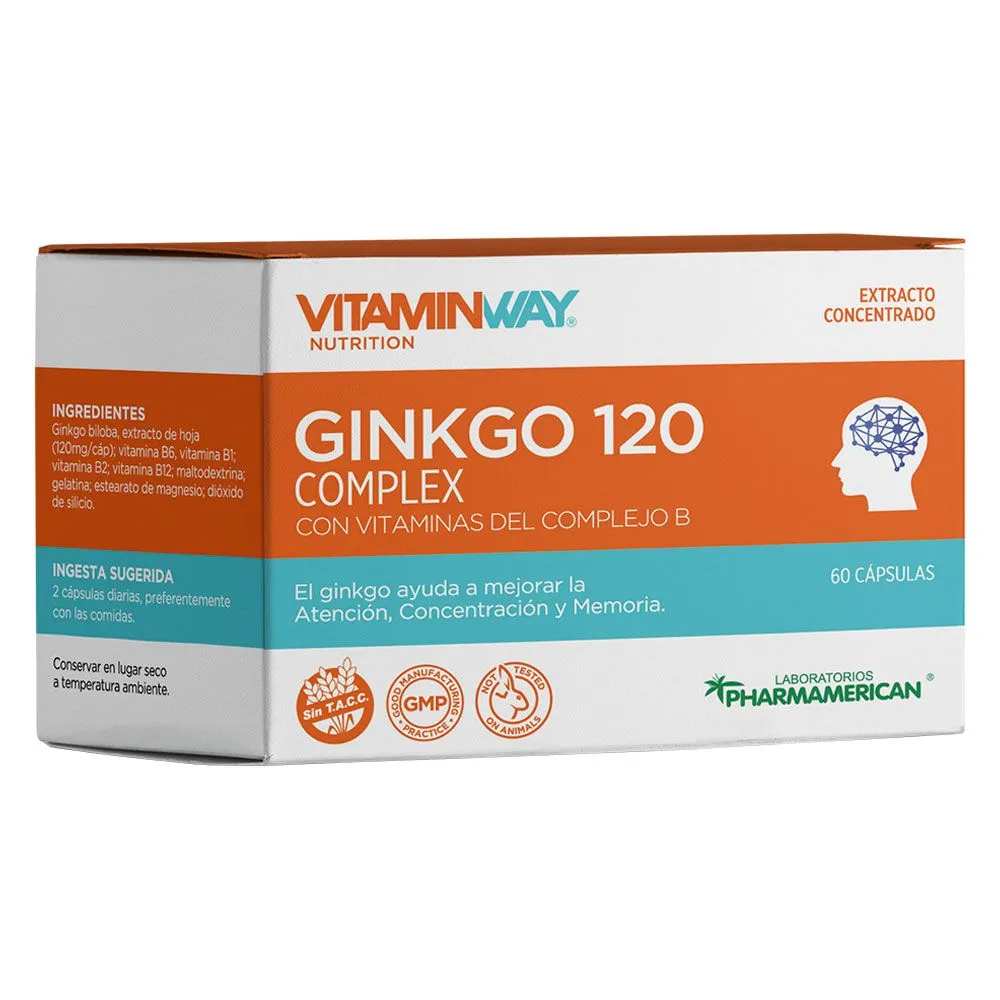 GINKGO 120 COMPLEX X 60 CAP
