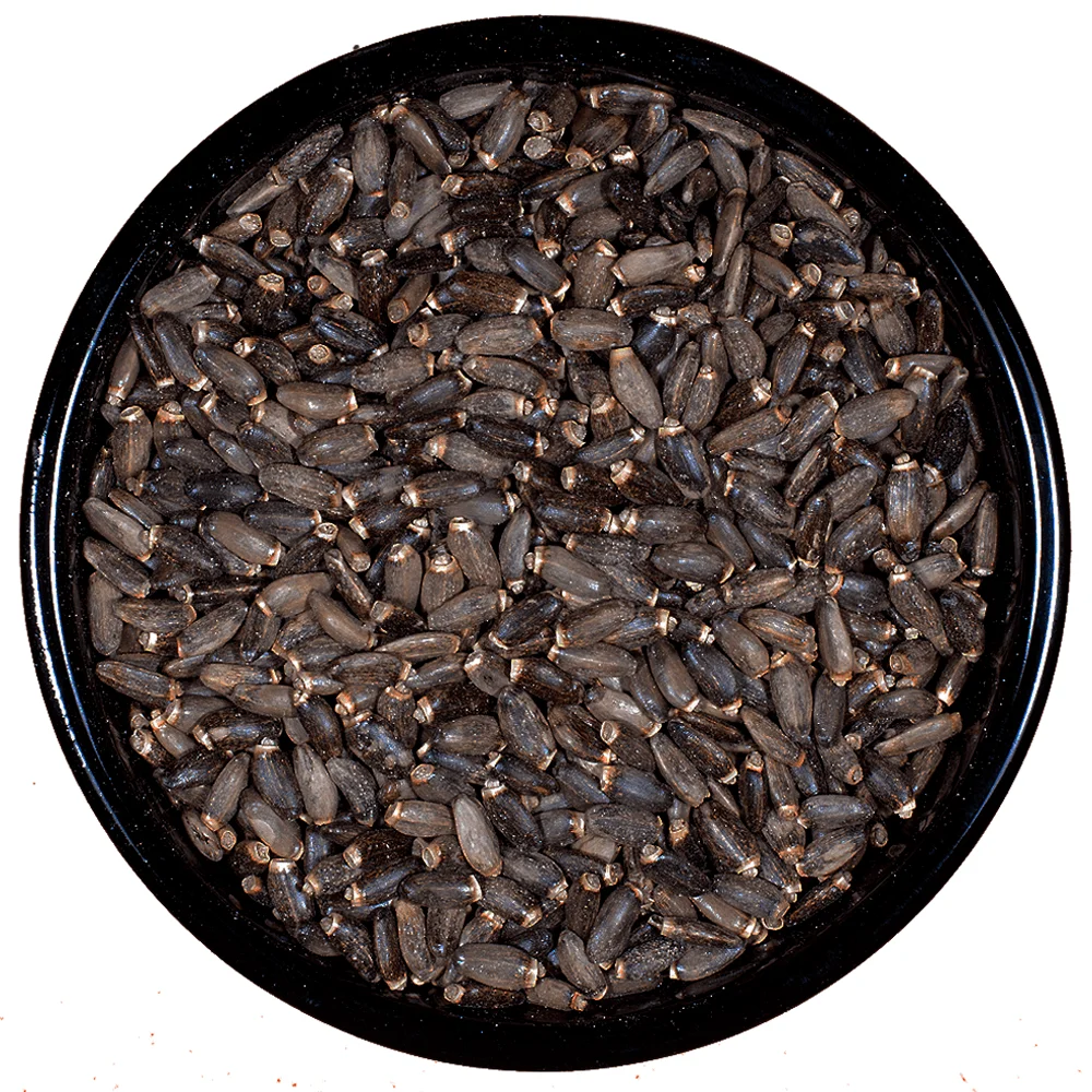Hierbas Cardo Mariano Semillas 25g