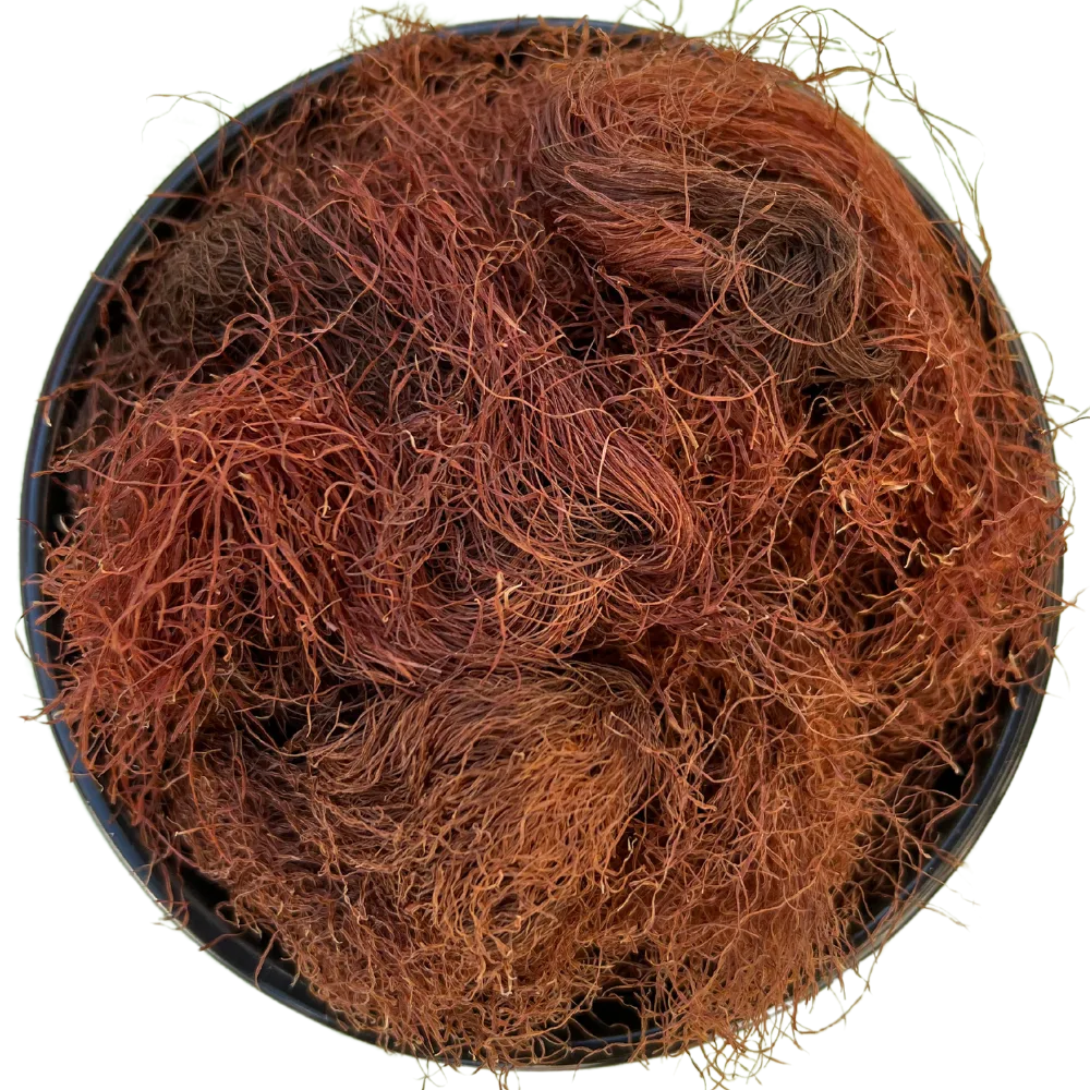 Hierbas Estigma de maíz 50g