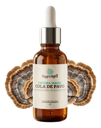 Tintura madre de hongos - cola de pavo - Fungi and Roots