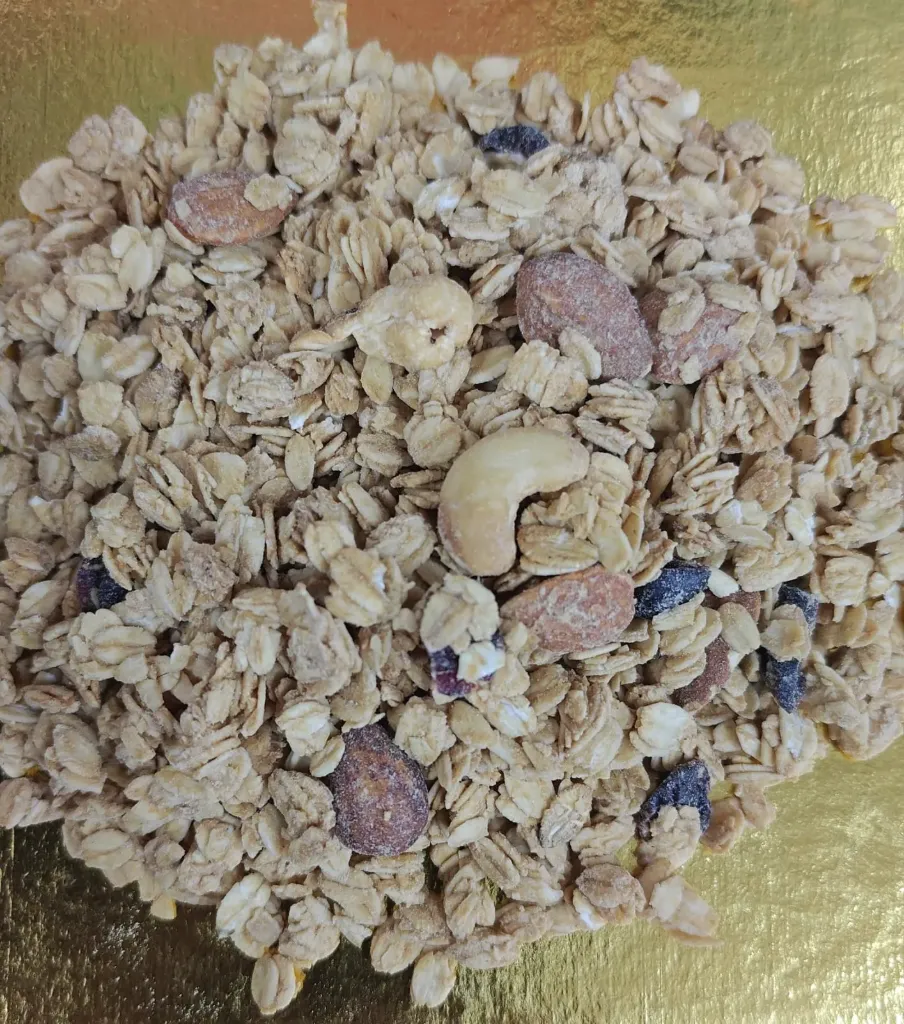 Granola Integra almendra cajú arándanos 250g