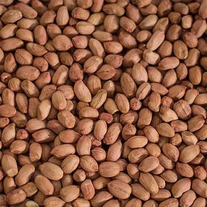 Maní japonés 100g