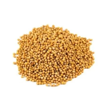 Mostaza molida 100g
